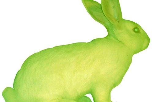 GPF Bunny (a coelinha transgênica)