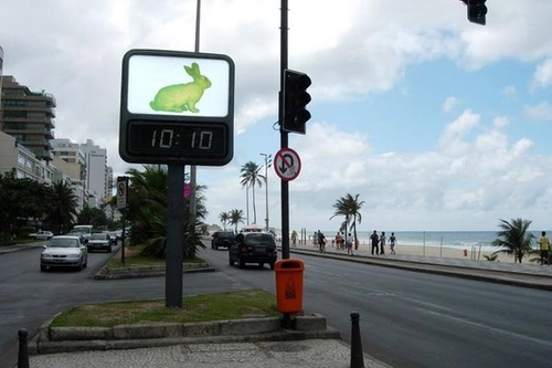 Rabbit in Rio