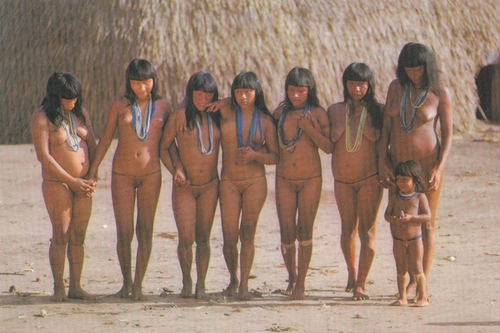 Brasil Nativo-Brasil Alienígena