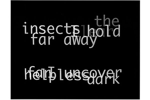 Insect.Desperto