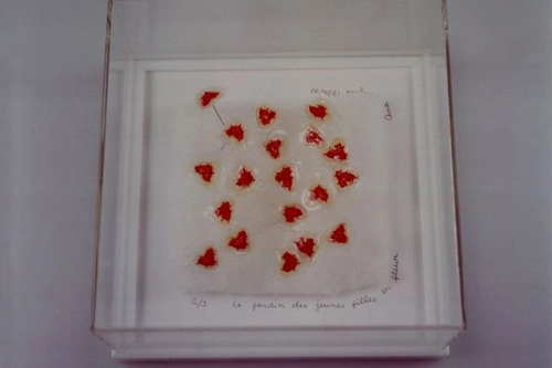 Le jardin des jeunes filles en fleur