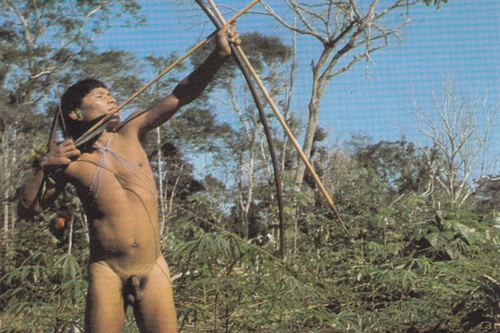Brasil Nativo-Brasil Alienígena