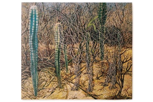 Jegue Cercado 