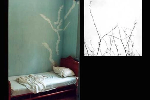 Cama para sonhar